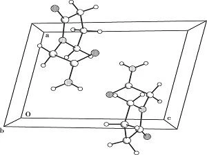Pyriracetam projection