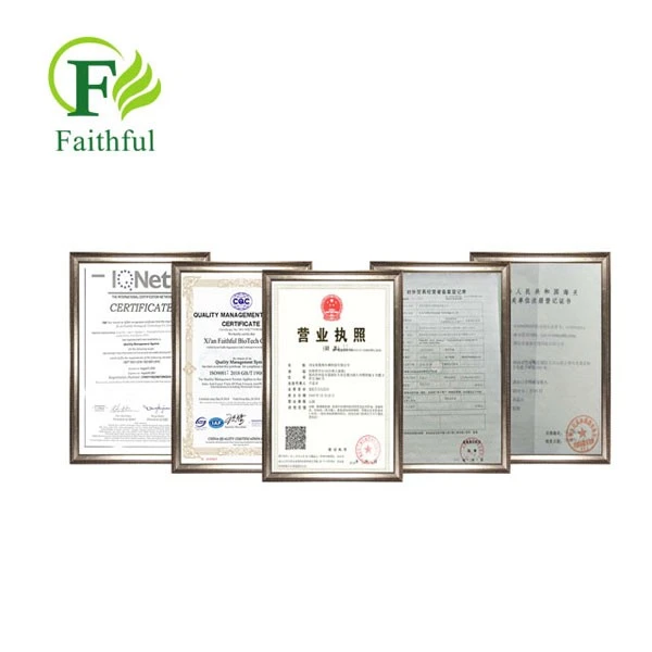 Cytidine 5 Monophosphate CAS 63-37-6 Cytidine 5 Monophosphate CAS 63-37-6